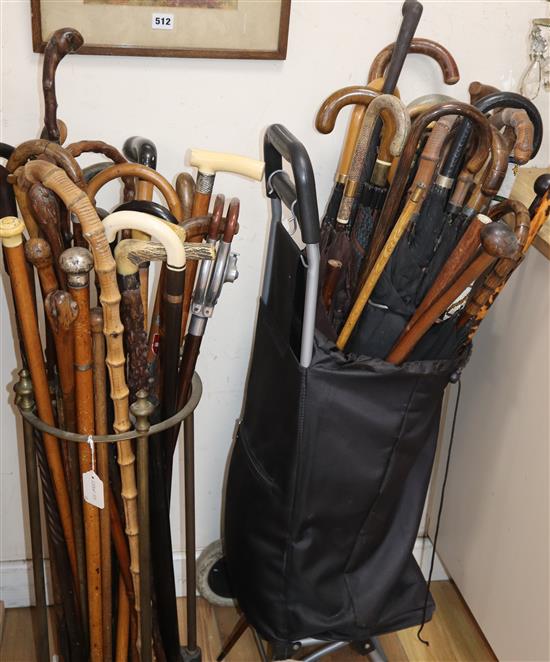 A large collection of walking sticks and umbrellas,